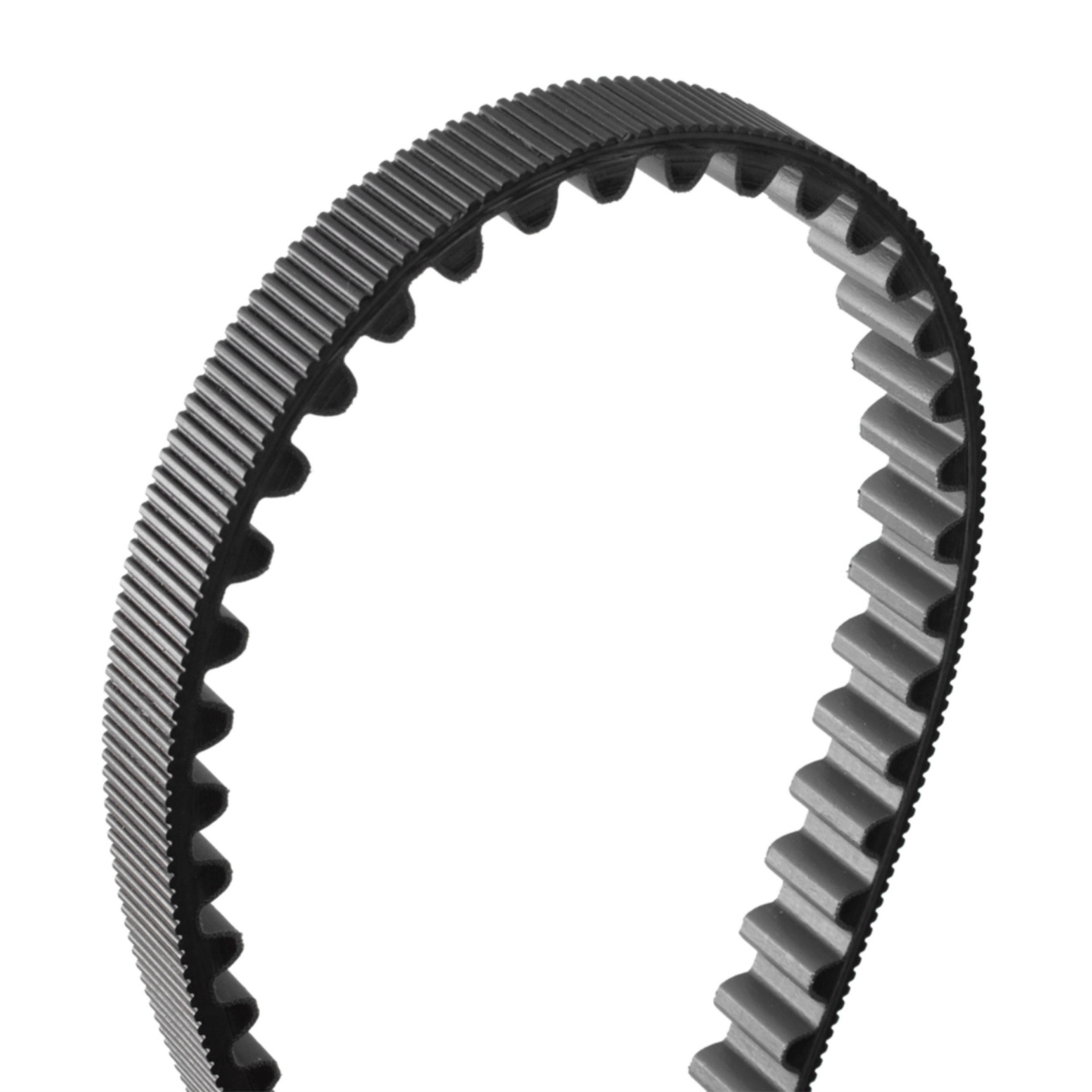 Belt 143T | CAKE